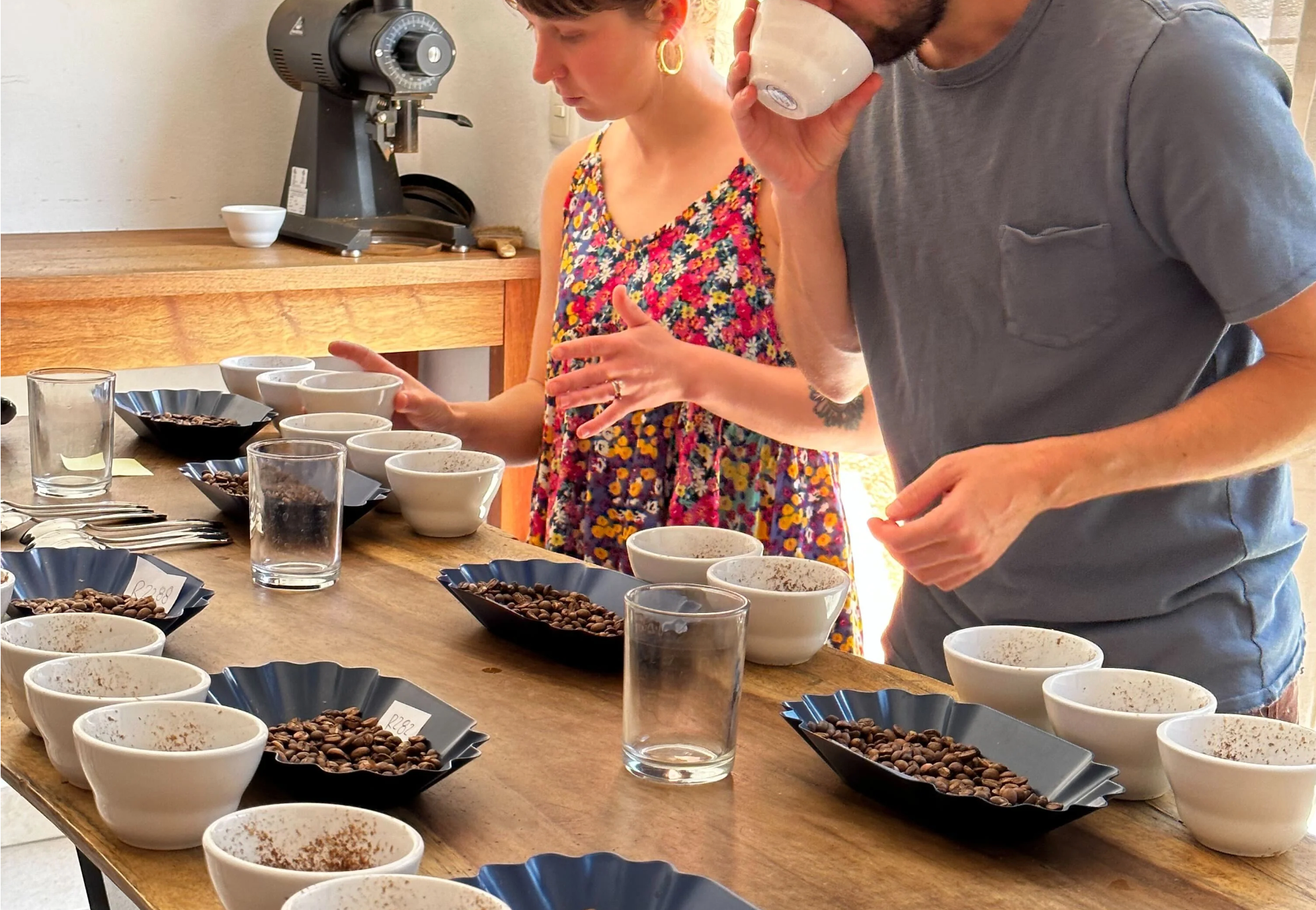 Color Coffee Roasters