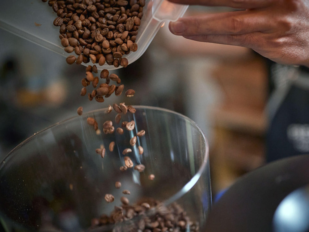 Convection coffee roasters: How do they work?